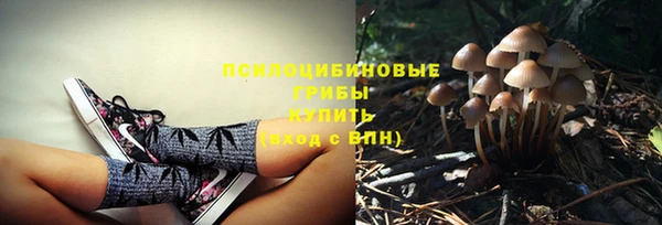 ПСИЛОЦИБИНОВЫЕ ГРИБЫ Аркадак