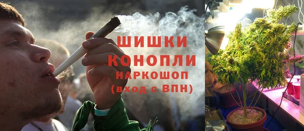 ПСИЛОЦИБИНОВЫЕ ГРИБЫ Аркадак