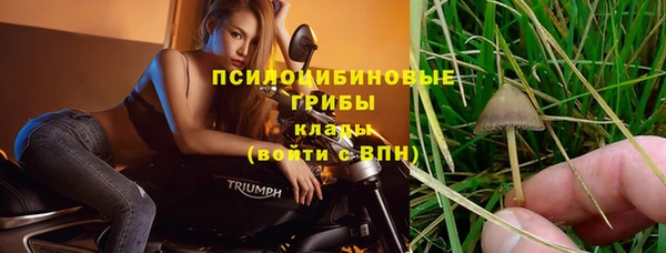 дживик Арсеньев