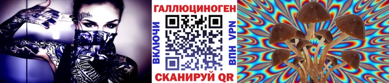 закладка  Верхнеуральск  Псилоцибиновые грибы Cubensis 